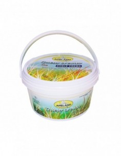AME QUESO CREMA CUBO 1X3 K