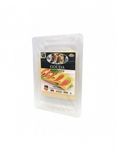 GROET GOUDA LONCHA 10X90GR